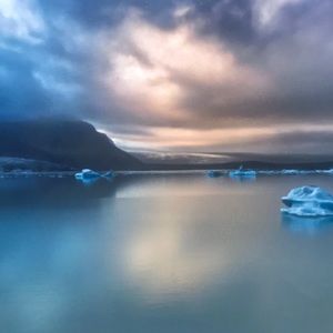 Meet your Posher, Buckley